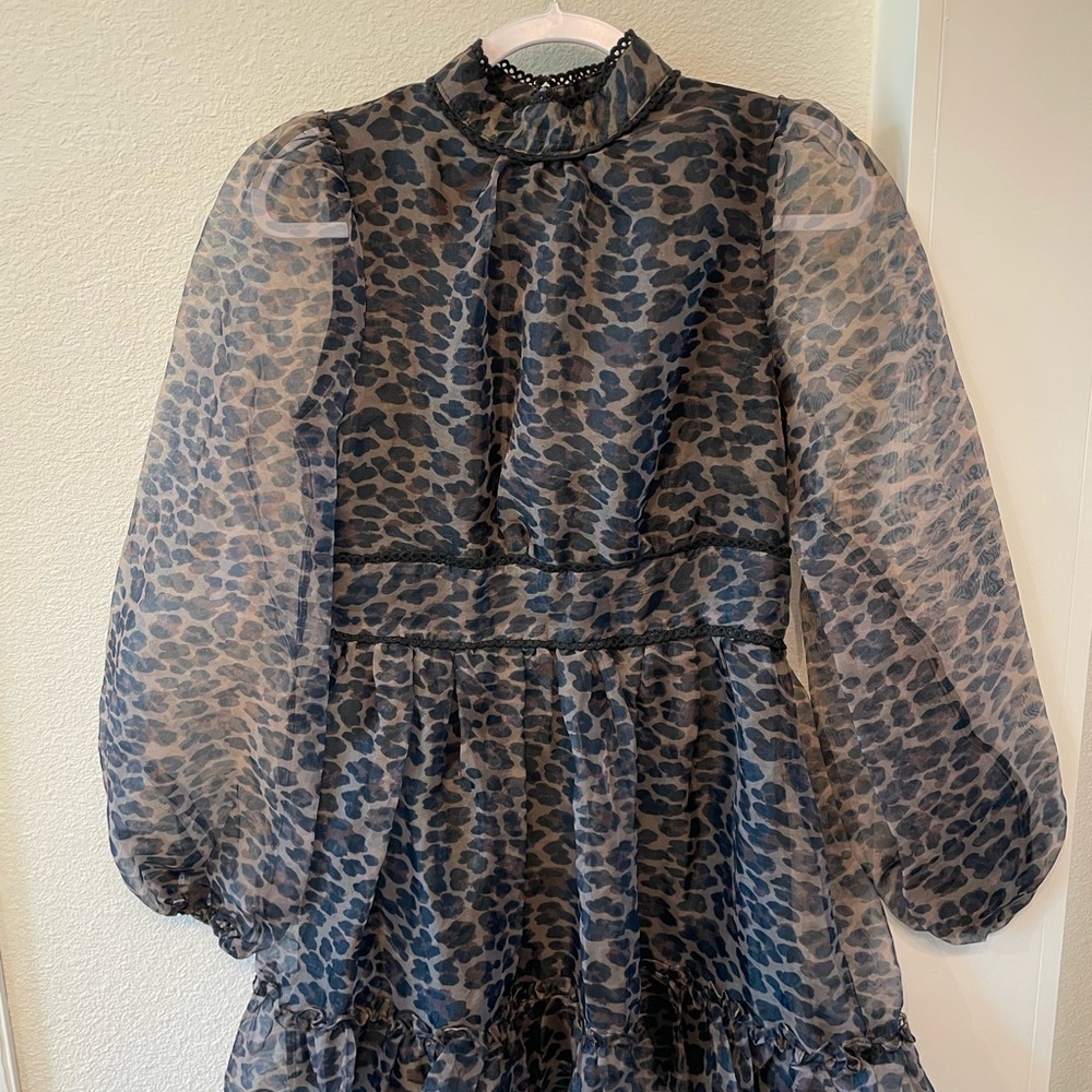 Leopard Print Sheer Sleeve Dress